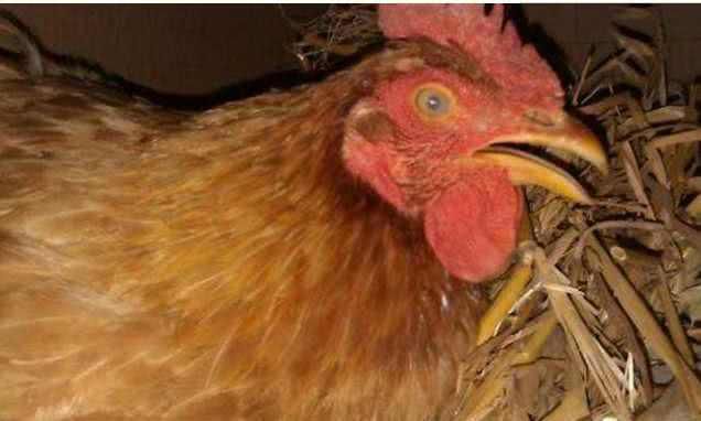 5f9dfa9f84a1706e683d7504217033ee.jpg 5f9dfa9f84a1706e683d7504217033ee.jpg